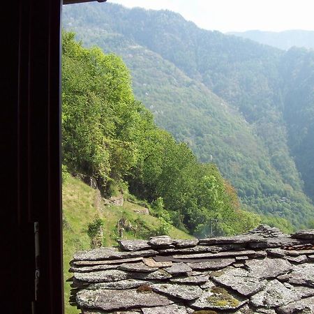 Appartamentino Nel Bosco Sondrio Eksteriør billede