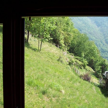 Appartamentino Nel Bosco Sondrio Eksteriør billede