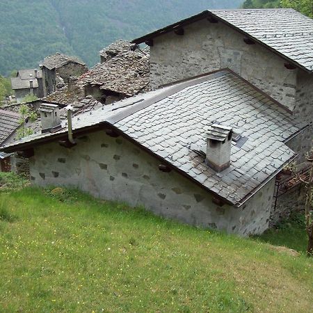 Appartamentino Nel Bosco Sondrio Eksteriør billede