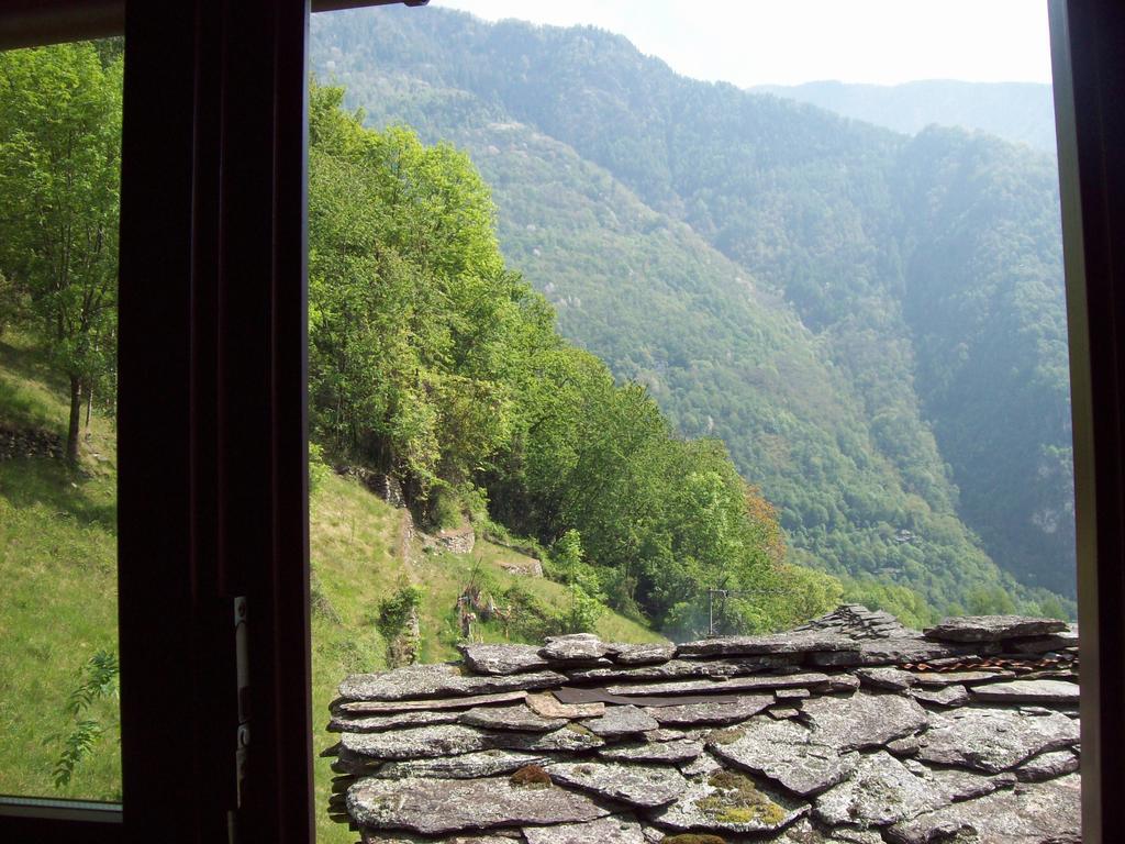 Appartamentino Nel Bosco Sondrio Eksteriør billede