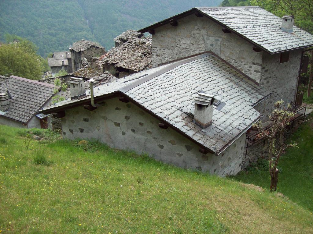 Appartamentino Nel Bosco Sondrio Eksteriør billede